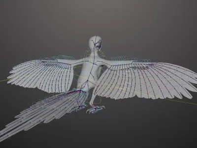 Basic model with Animation RIG of Macaw 3D model