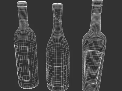  Three Wine Bottle Models 