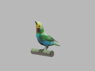 bird flying Low-poly 3D model