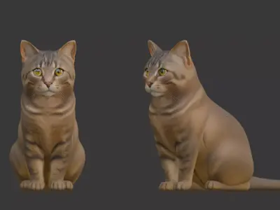 Cat Kitten 3D Scan Print 3D model