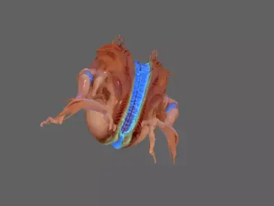 Creature 3D model