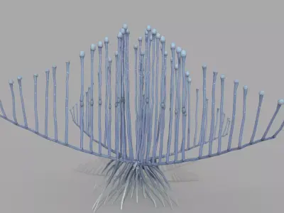 Lyre Sponge 3D model