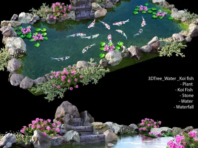 Water - Koi fish 02 3D model