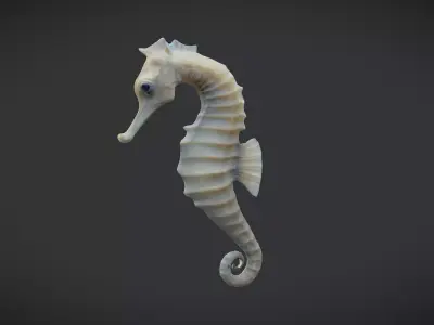 Seahorse - Hippocampus reidi Low-poly 3D model