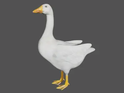 Canadian Goose  3D model