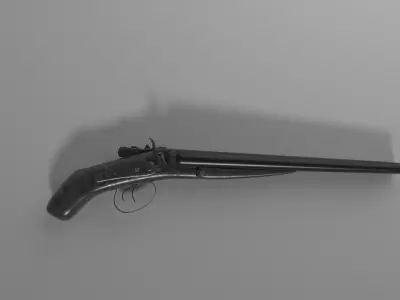 Double Shotgun Low-poly 3D model