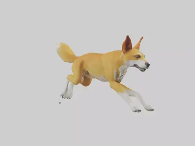 Dingo dog running model Low-poly 3D model