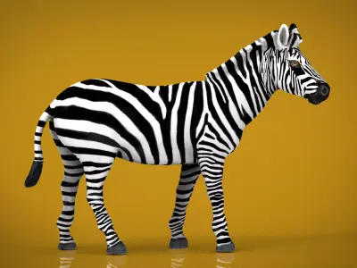 ZEBRA Low-poly 3D model