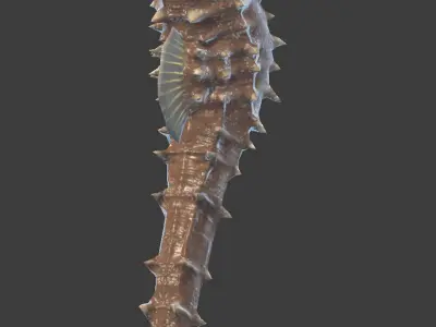 Seahorse Hippocampus Kuda Low-poly 3D model