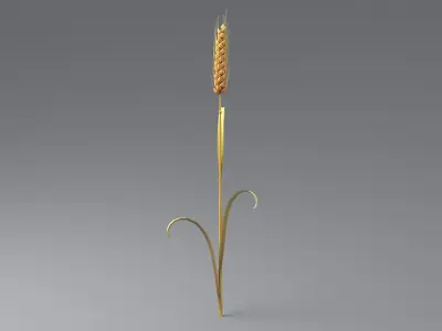 Cartoon Wheat Spikelet 03 3D model