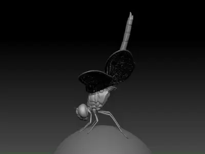 Dragonfly 3D print model