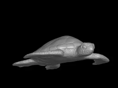 sea turtle 3D print model
