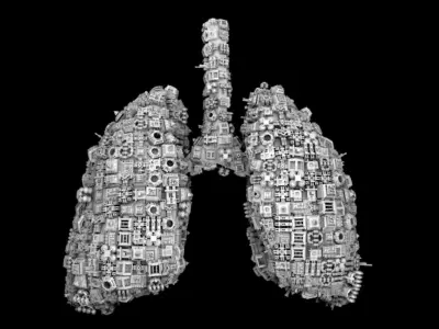 Human Lungs shaped Spaceship Low-poly 3D model