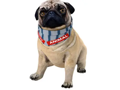 PUG - Dog 3D model