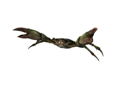 Rigged Crab Model Low-poly 3D model
