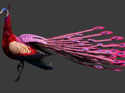 Peacock A1 3D model