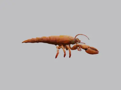 Fantasy Lobster 3D Model Pack 3D model