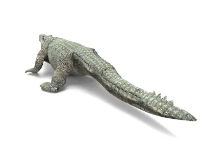Crocodile Rigged 3D Models game ready Low-poly 3D model
