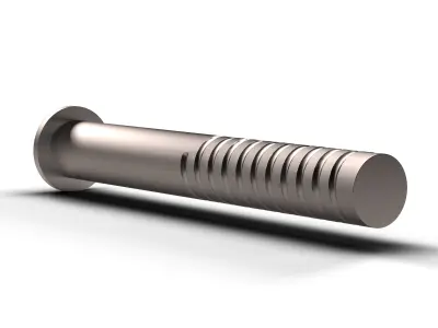 Dome Bolt Low-poly 3D model