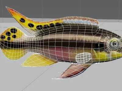 kribensis cichlid fish Pelvicachromis pulcher Low-poly 3D model
