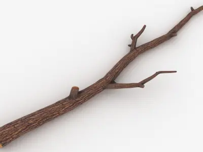 Branch 05 3D model