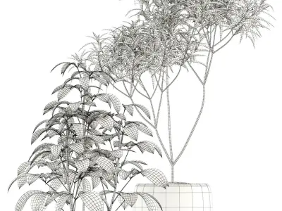 Plants collection 118 3D model