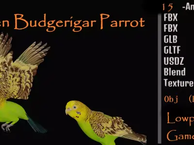 Budgerigar Parrot Bird Low-poly 3D model