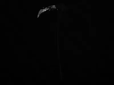 Stylized Black Scythe - Game-Ready Free low-poly 3D model