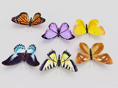 Butterfly model 3D model