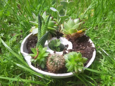 Double Planter Pots Free 3D print model