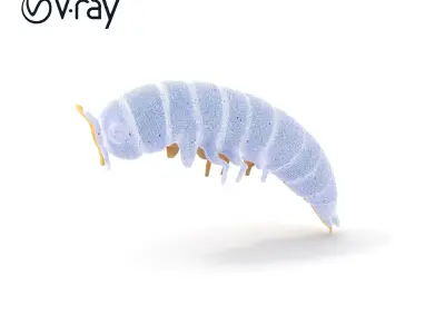 Realistic Larva Model Pack Low-poly 3D model