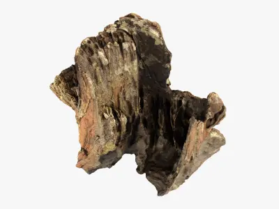 Tree Trunk Piece 16 3D model
