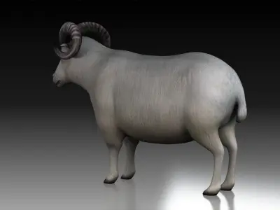 sheep ram ewe lamp wool fur farm livestock domesticated  3D model