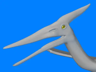 Pteranodon dinosaur flying 3D model