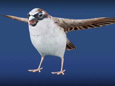 Sparrow Rig Low-poly 3D model