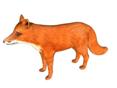 Red Fox Low-poly 3D model
