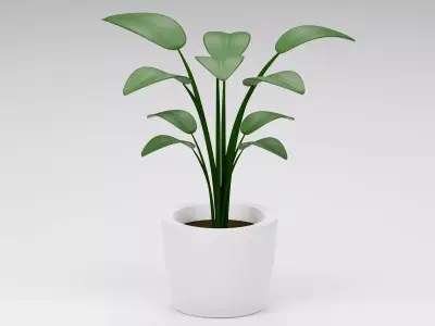Potted Plant 3D model order