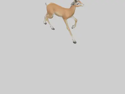 Gazelle bounding model Low-poly 3D model