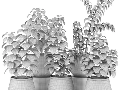 Indoor Plants in Ferm Living Bau Pot Large - Set021 3D model