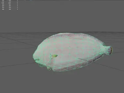 Flatfish Low-poly 3D model