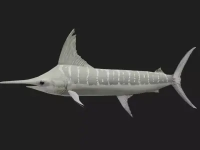 Marlin Low-poly 3D model