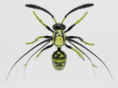  Wasp insect nature 3D model