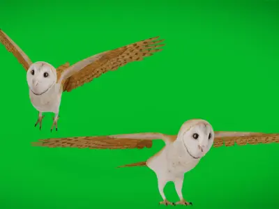 Asian Barn Owl Bird Low-poly 3D model