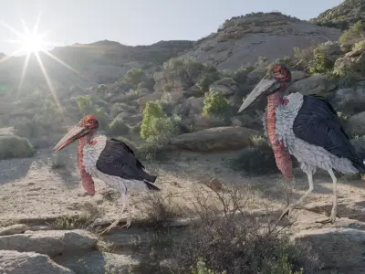 Realistic Animals Savannah - Marabou stork Low-poly 3D model