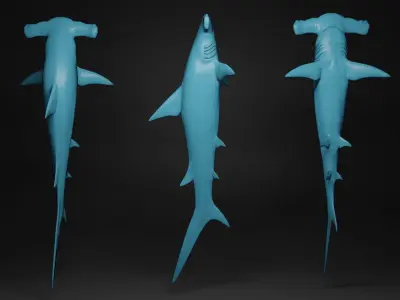 hammerhead shark base mesh obj 3D model