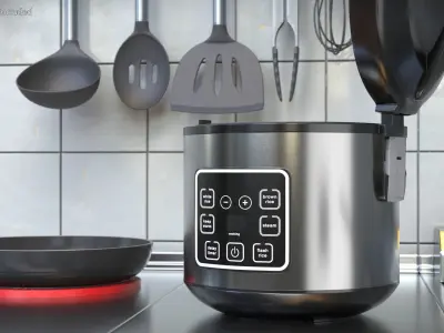 Aroma Multicooker With Steamed Salmon 3D model