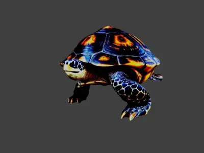 Turtle - Tortoise Low-poly 3D model