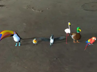 Bird Group Parrot Toucan Robbin Duck Hummingbird 3D model