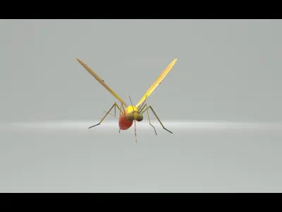Mosquito Blood Sucked Culex ready yo fly 3D model