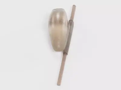 -Head Louse Nit- 3D model